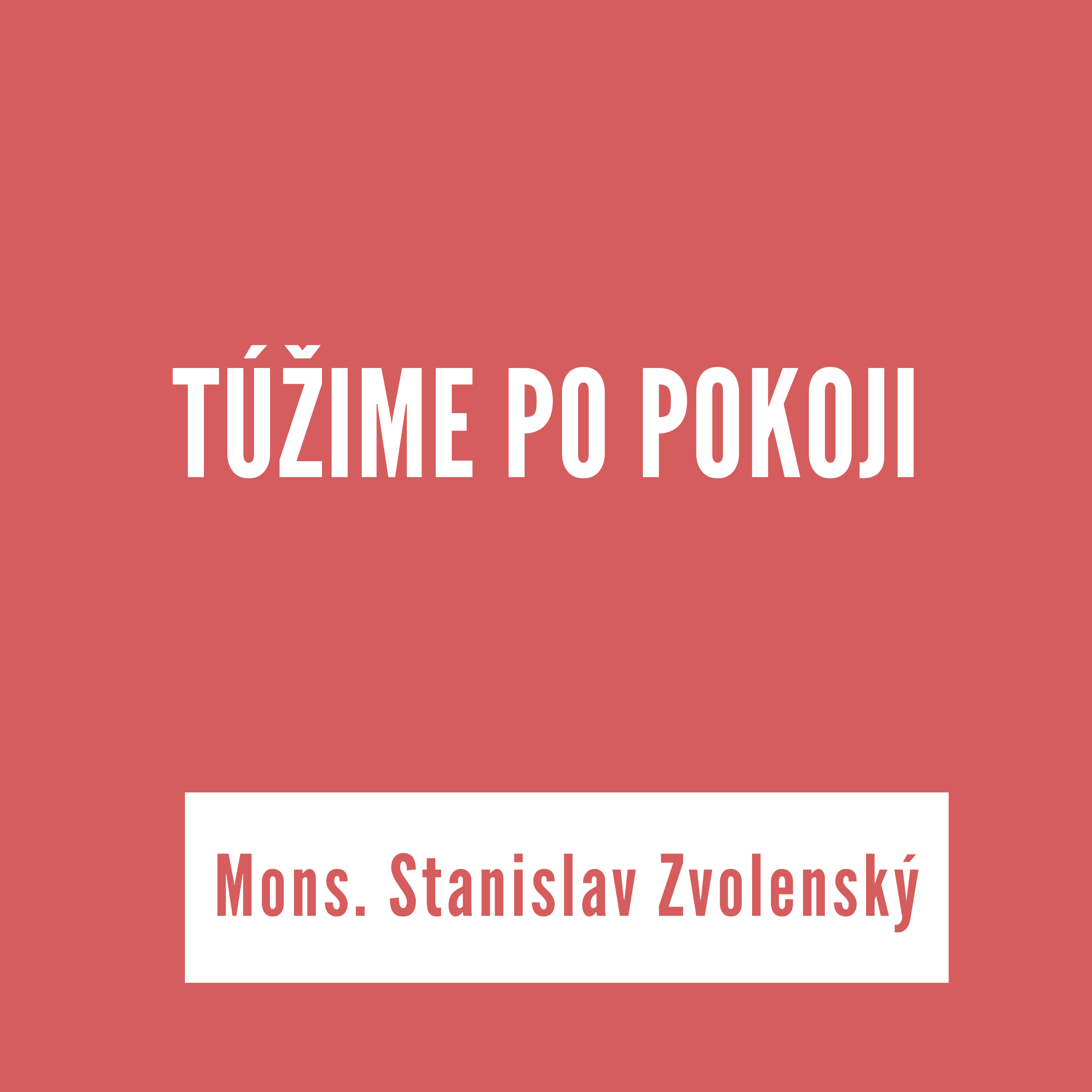 TÚŽIME PO POKOJI  | Mons. Stanislav Zvolenský episode artwork