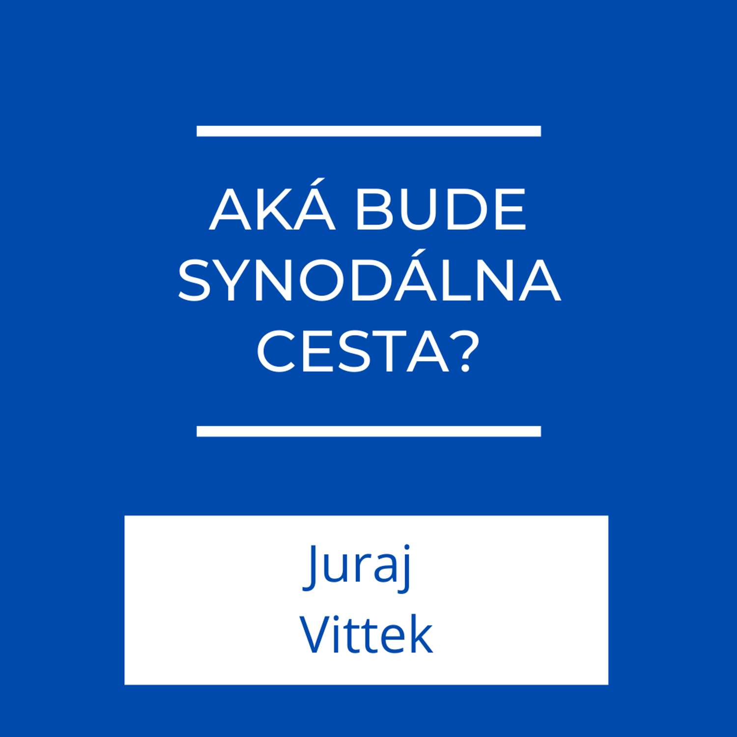 Aká bude synodálna cesta? | Jeden na jedného episode artwork