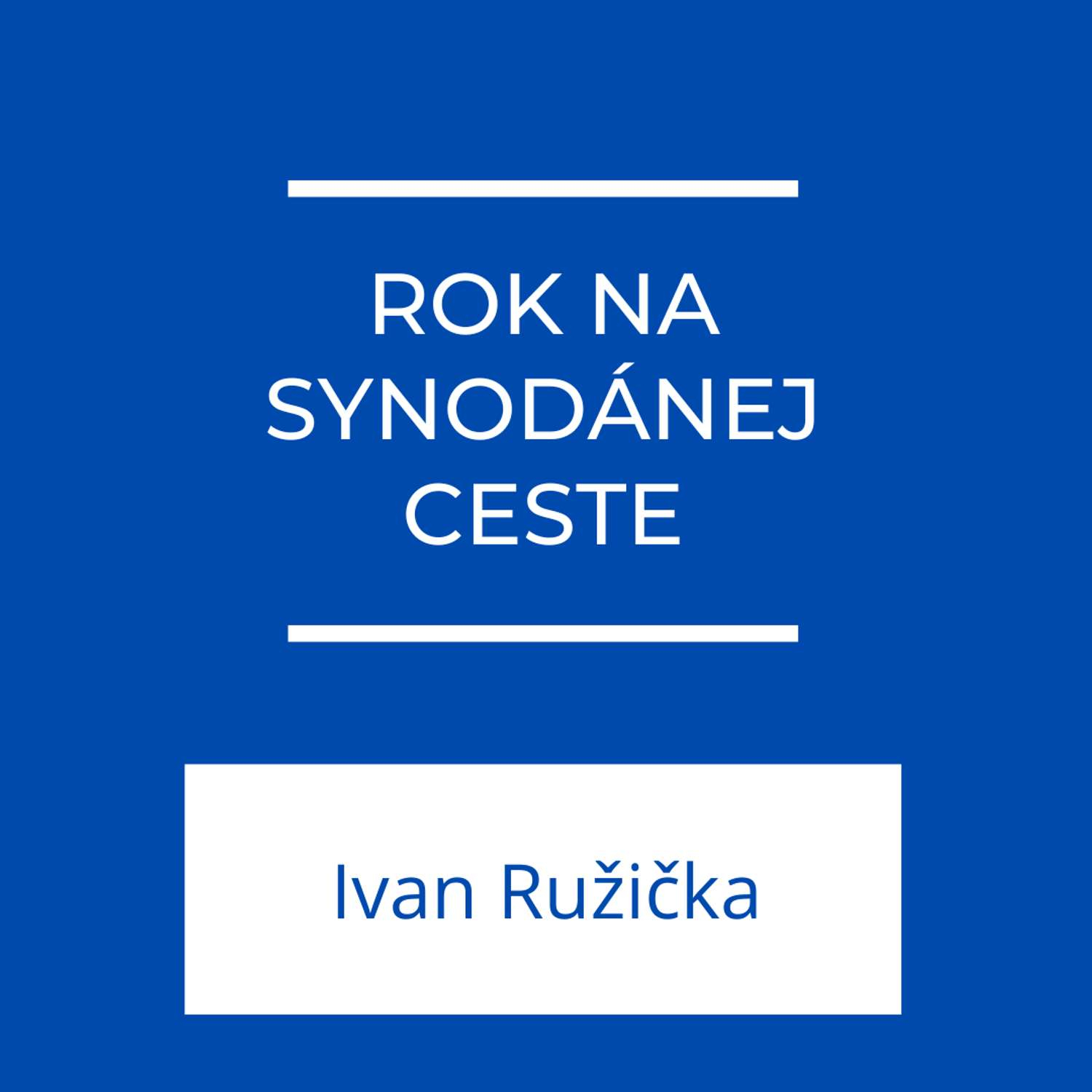 Rok na synodálnej ceste | Jeden na jedného episode artwork