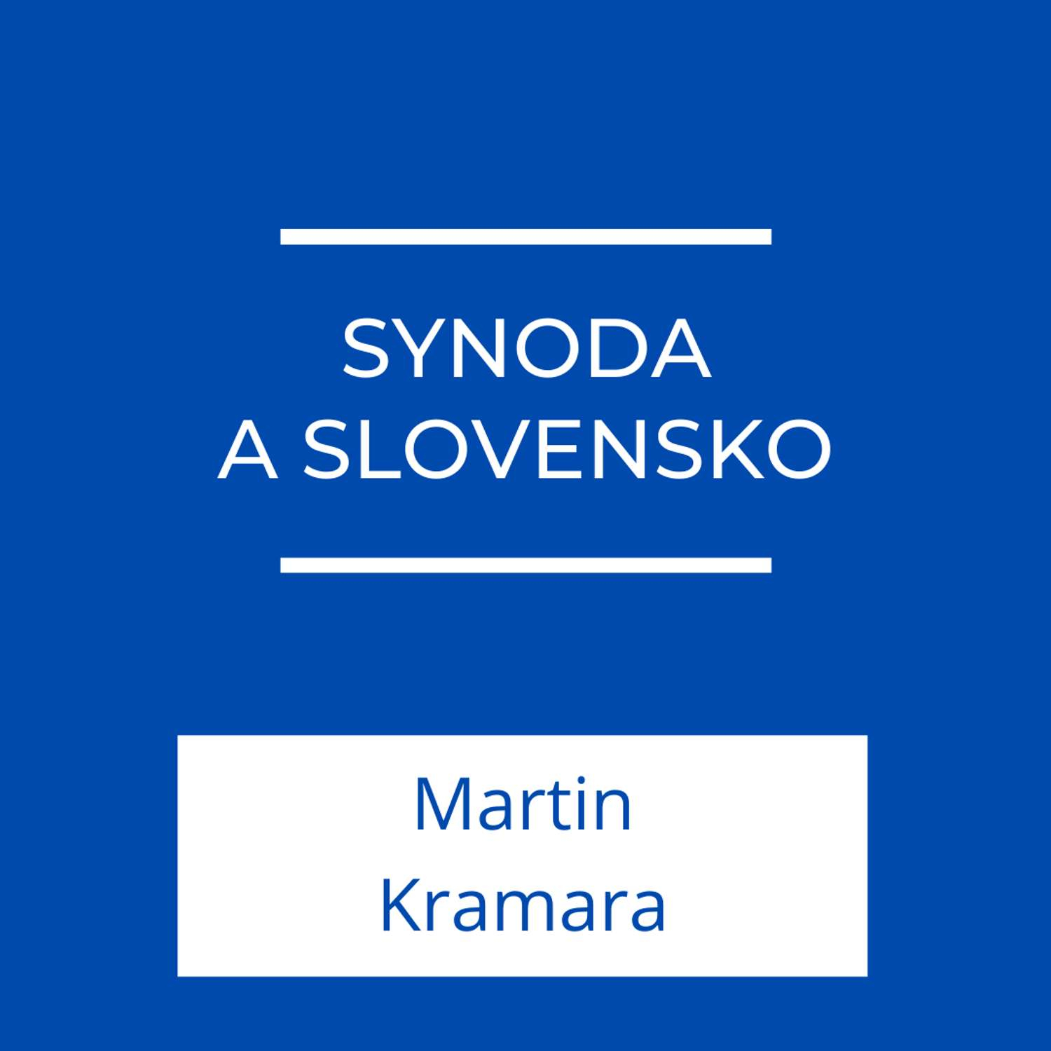 Synoda a Slovensko | Jeden na jedného episode artwork